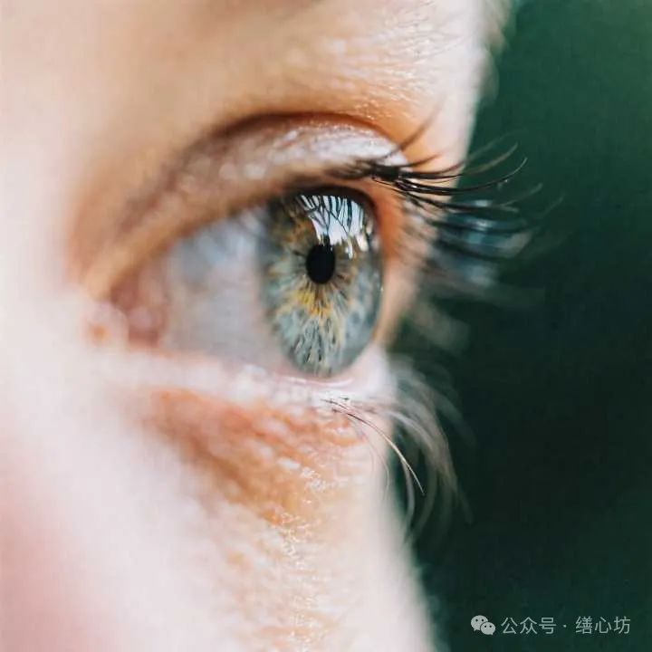 视觉皮层刺激理论框架